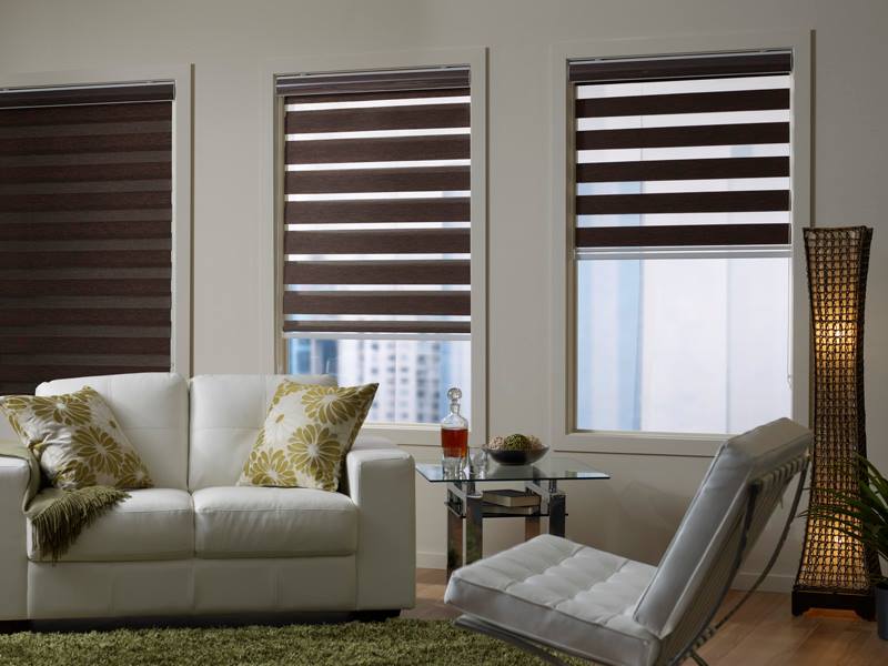 Discover the Latest Blind Trends for a Stylish Makeover