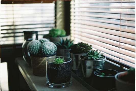 Things You Need to Know Before Buying Window Blinds